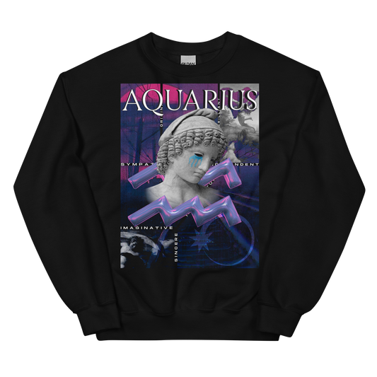 Sudadera Acuario